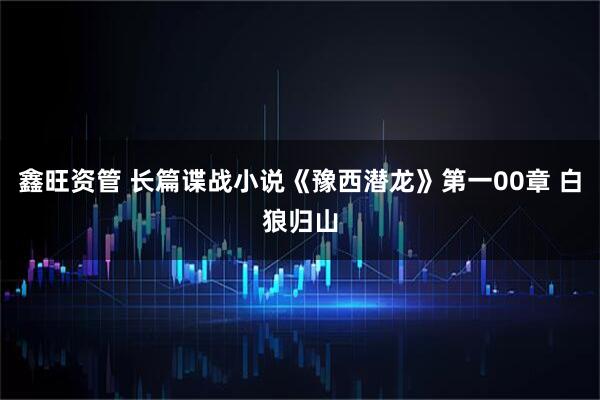鑫旺资管 长篇谍战小说《豫西潜龙》第一00章 白狼归山