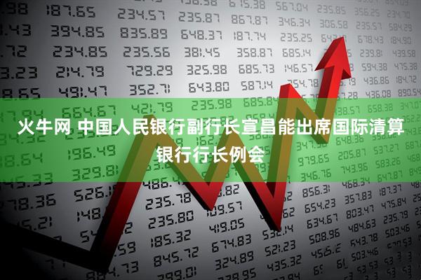 火牛网 中国人民银行副行长宣昌能出席国际清算银行行长例会