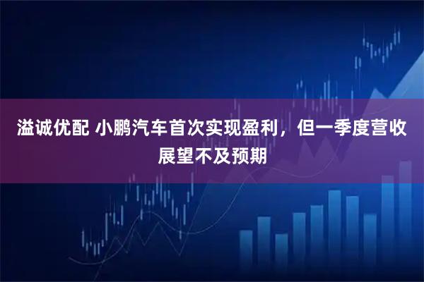 溢诚优配 小鹏汽车首次实现盈利，但一季度营收展望不及预期