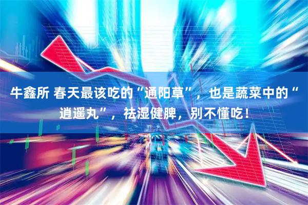 牛鑫所 春天最该吃的“通阳草”，也是蔬菜中的“逍遥丸”，祛湿健脾，别不懂吃！