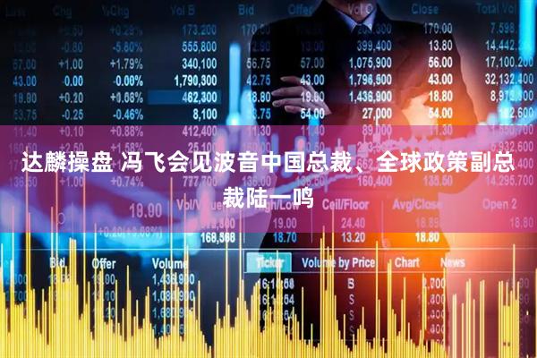 达麟操盘 冯飞会见波音中国总裁、全球政策副总裁陆一鸣