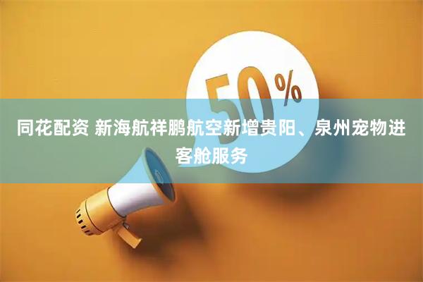同花配资 新海航祥鹏航空新增贵阳、泉州宠物进客舱服务