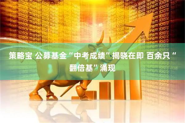 策略宝 公募基金“中考成绩”揭晓在即 百余只“翻倍基”涌现