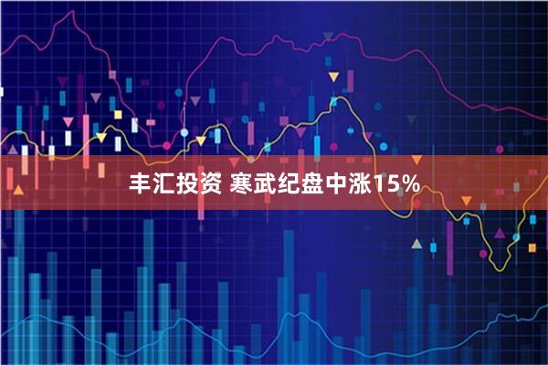丰汇投资 寒武纪盘中涨15%