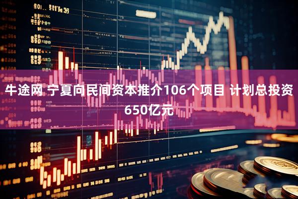 牛途网 宁夏向民间资本推介106个项目 计划总投资650亿元